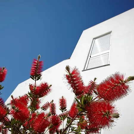 Canvas Apartments&lofts - White Ocean
