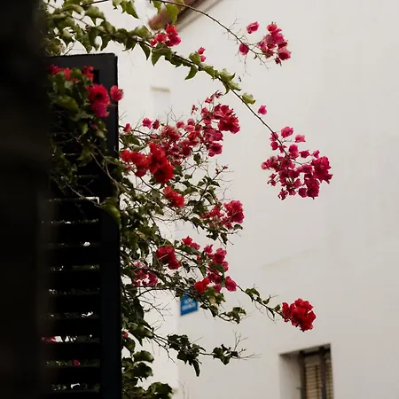 Appartement Gaia & Lofts *